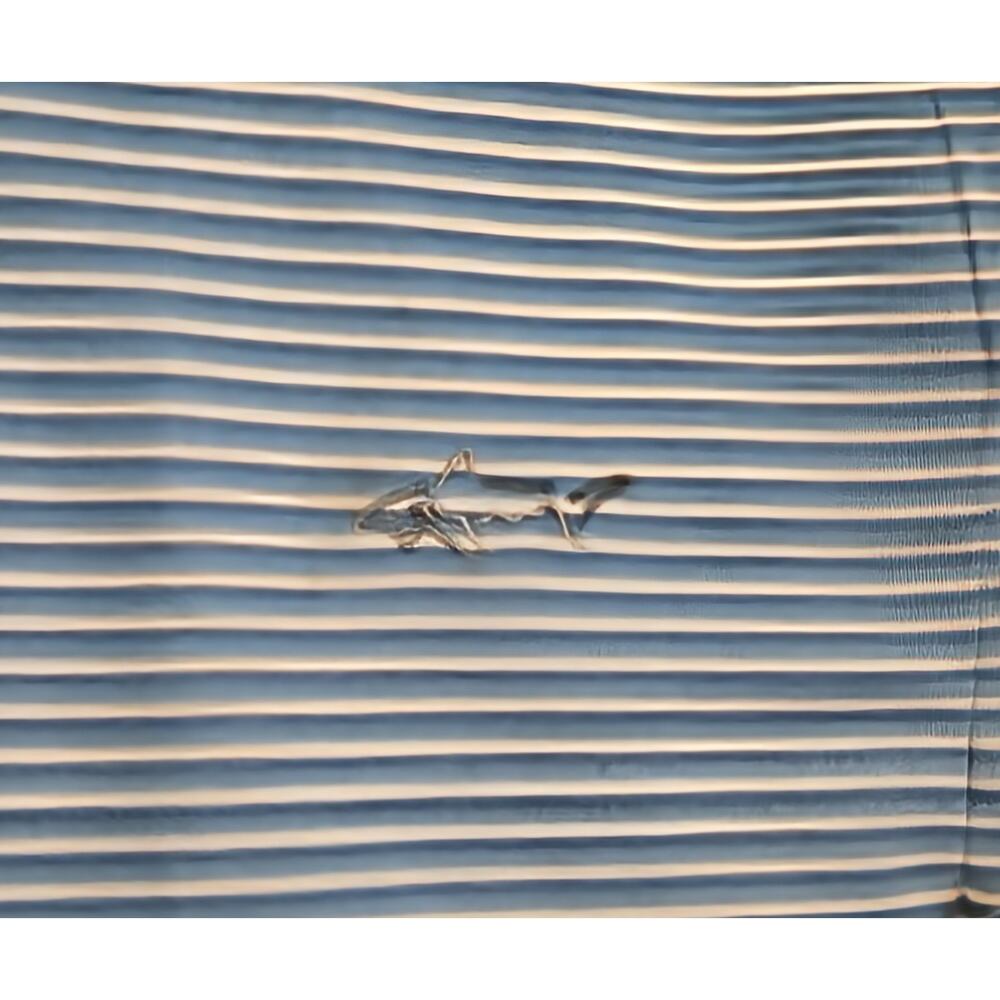Greg Norman Shirt Mens Striped Short Sleeve Polo Shark Logo Golf Blue Medium - Picture 4 of 4